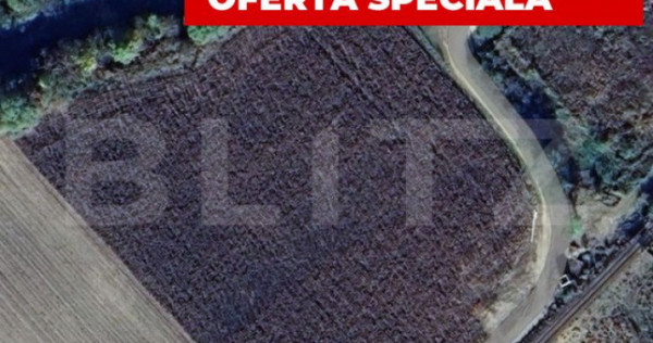 Teren extravilan cu potential ridicat, 10.000 mp, zona Blaj
