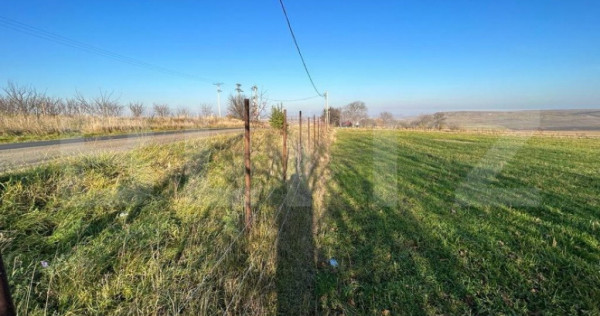 Oportunitate! Teren intravilan 13000 mp, cu casa veche, fron