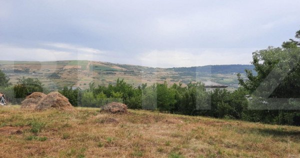 Teren intravilan construibil 2000 mp, Valea Chintaului, curt