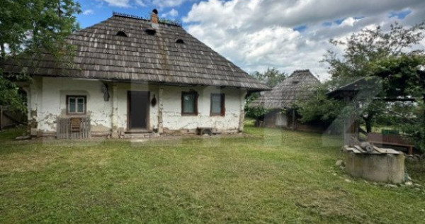 Casa+teren pentru investitie, 5500mp, Horodnic de Sus
