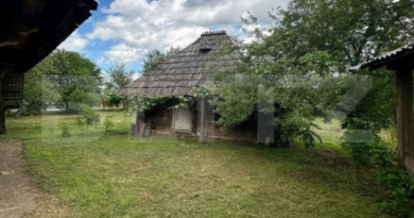 Casa+teren pentru investitie, 5500mp, Horodnic de Sus