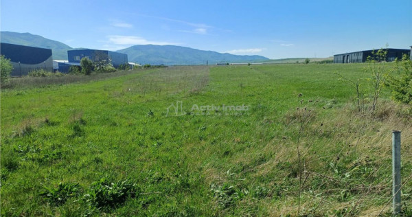 Teren intravilan de zona industriala Talmaciu