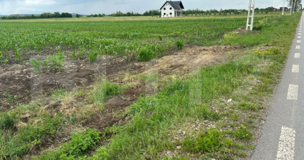 Teren intravilan ,4900 mp , 25ml front, Fratautii Vechi, Rad