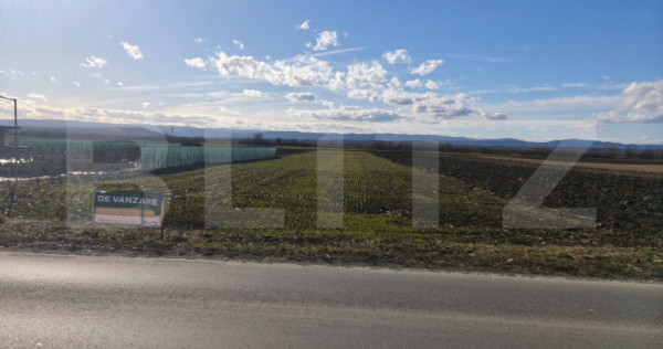 Teren intravilan ,4900 mp , 25ml front, Fratautii Vechi, Rad