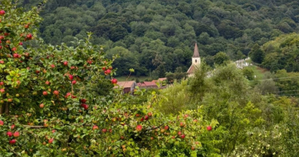 Vila cu poveste Fantanele, Sibiu