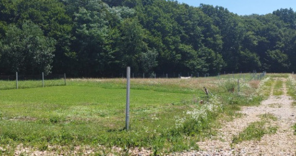 Grosi, zona Regal, 8+8 ari teren