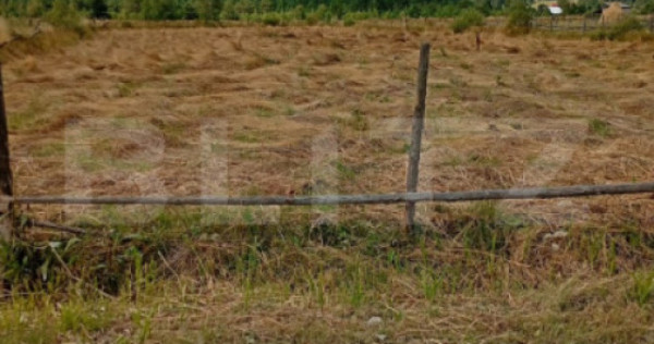 V&acirc;nzare teren intravilan, 3850 mp, Panaci