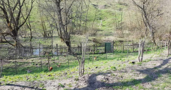 Casa 2 camere de vanzare in sat Petis, comuna Seica Mare