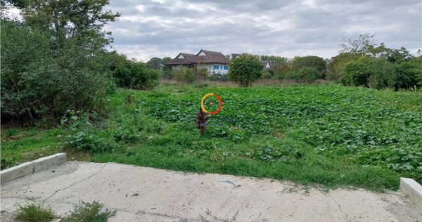 Teren 1950mp cu casa batraneasca 45 mp