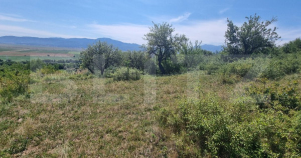 Teren in Vulcan pentru casa de vacanta - panorama catre Munt