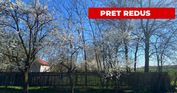 Teren 4975 mp situat in intravilanul satului Belciug, Dragan