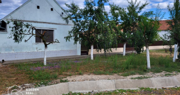 Casa cu teren 3300 mp, comuna Zabrani