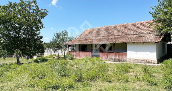 Casa renovabila cu teren 4317 mp in Sauaieu, Bihor