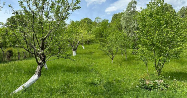 Teren de vânzare in Ocina de Jos