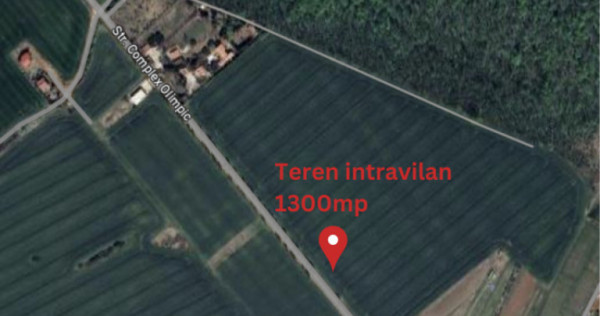 Teren intravilan 1300mp Ilfov Ciolpani - Izvorani