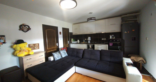 Apartament 2 camere 46 mp + loc parcare + boxa - Bucium-Visa