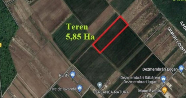 Săbăreni, teren intravilan construibil 5,85 ha, între 2 p