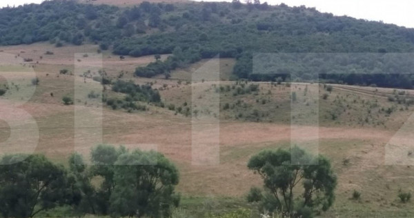 Teren intravilan 5700 mp in zona Centurii Muncii-Apahida