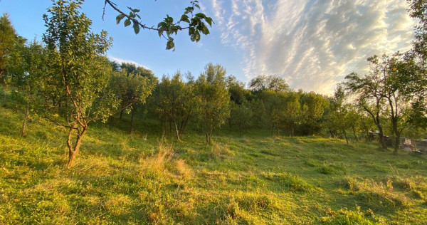 Teren in Bughea de jos, Arges, 3950mp