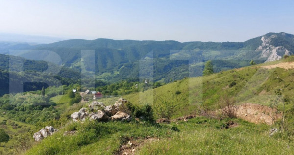 Teren extravilan pentru cabana, 3800 mp, zona-Ramet Transapu