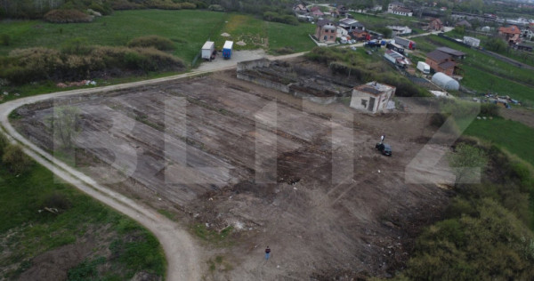 Teren intravilan 10.000 mp, zona Dragutesti