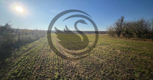 Teren intravilan de vanzare | 12.650 mp | Ghirdoveni, | C...