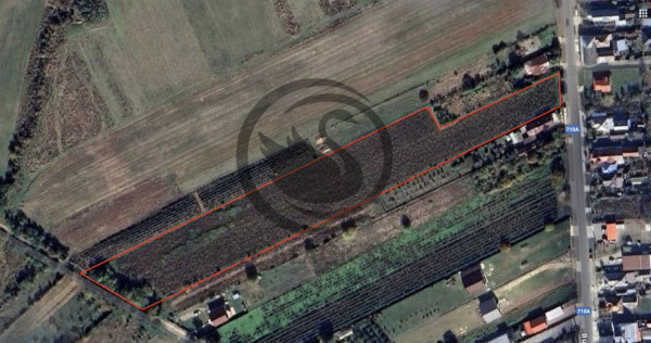 Teren intravilan de vanzare | 12.650 mp | Ghirdoveni, | C...