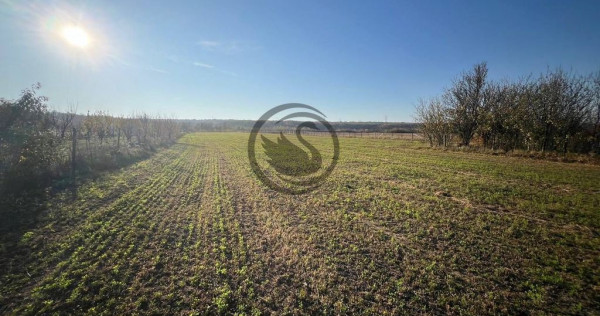 Teren intravilan de vanzare | 12.650 mp | Ghirdoveni, | C...