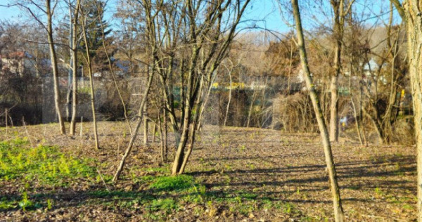 Teren intravilan 738 mp, zona Viforata, Comision 0