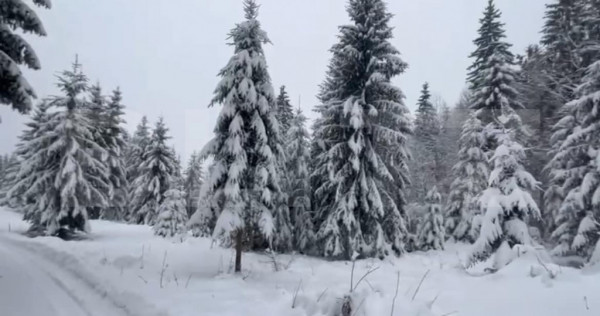 Teren 10,75 ari, intravilan Colibita, cu utilitati