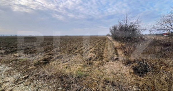 Oportunitate-Teren intravilan de vanzare, 5000 mp, zona Comu