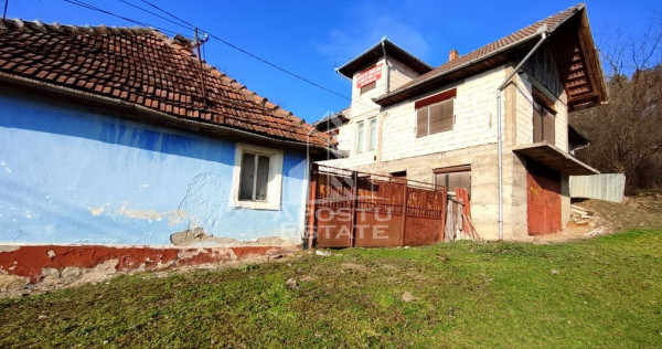 Casa de vanzare 9 incaperi, vedere panoramica, Sebis