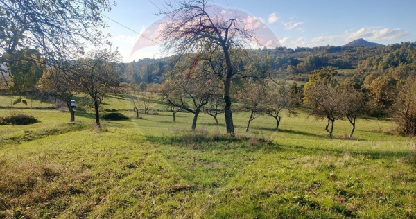 Teren zona superba Șișești
