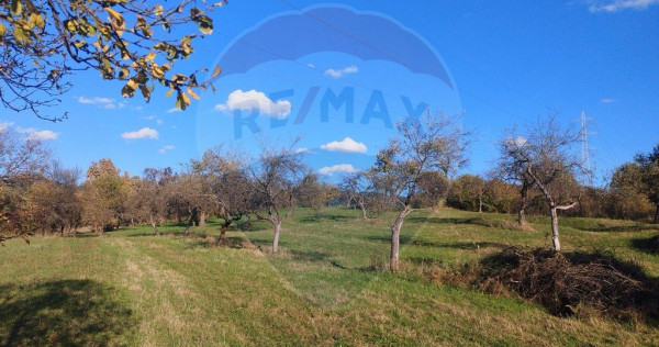 Teren zona superba Șișești