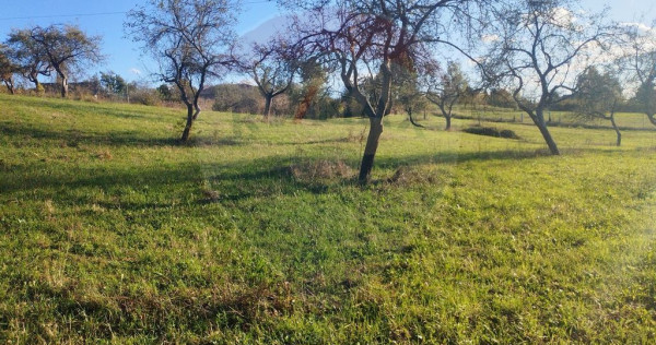 Teren zona superba Șișești