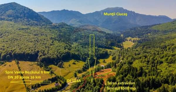 Teren 8500 mp, Valea Dălghiului - Dălghiu - vedere căt...
