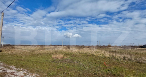 Teren arabil de vanzare, 84 ha, Berecsaul mic