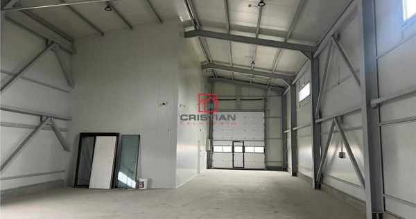 Depozit/hala/spatiu industrial Domnesti - Centura