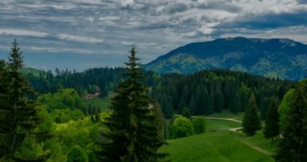 SUPERB Teren intravilan de 2350mp in Poiana Mica Brasov