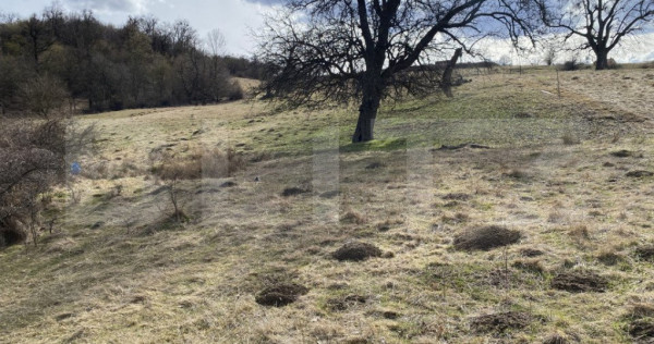 Teren extravilan in suprafata de 7500 mp la poalele Mesesulu