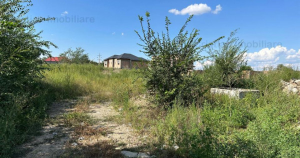 1073mp cu 25m deschidere Radu Negru Buzaului 121Euro/ mp