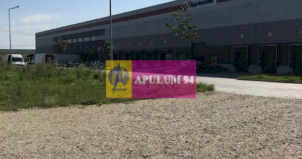 Teren Domnesti- Depozit Emag.