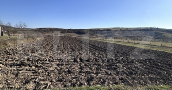 Teren intravilan 5.800 mp, potențial de parcelare-construc?