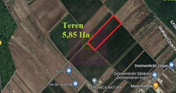 Săbăreni, teren 5,85 ha, intravilan rezidențial, &icirc;ntr...