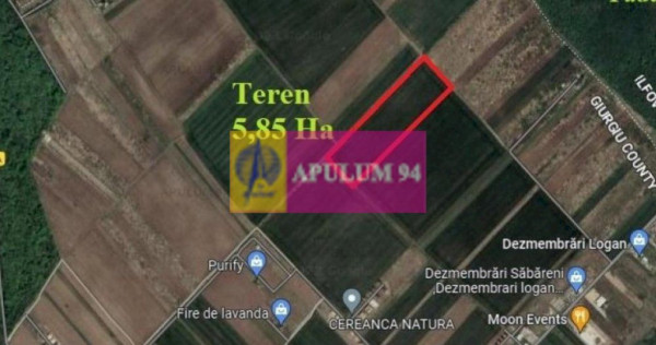 Săbăreni, teren intravilan construibil 5,85 ha, între ...