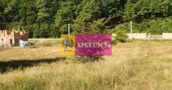 Teren Județul Vâlcea - Brezoi, Valea lui Stan