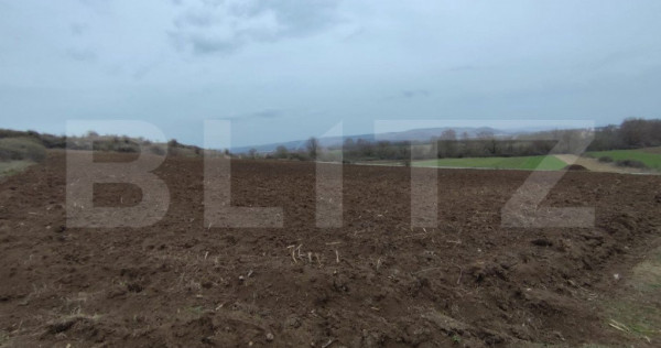 Teren extravilan, 9.700 mp, zona Parau lui Mihai