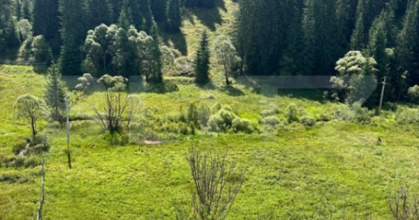 Teren intravilan de vanzare, 6941 mp, zona Mestecăniș