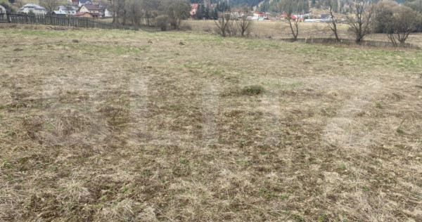 Teren intravilan de vânzare, 4047 mp, zona Vatra Dornei