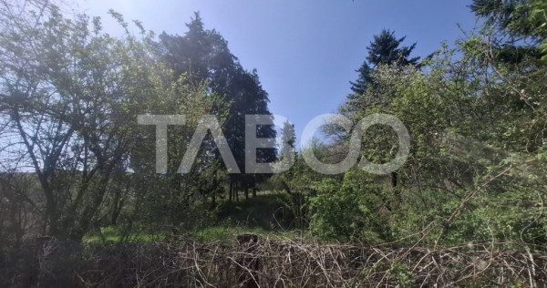 Teren intravilan de vanzare 2700 mp Slimnic Sibiu